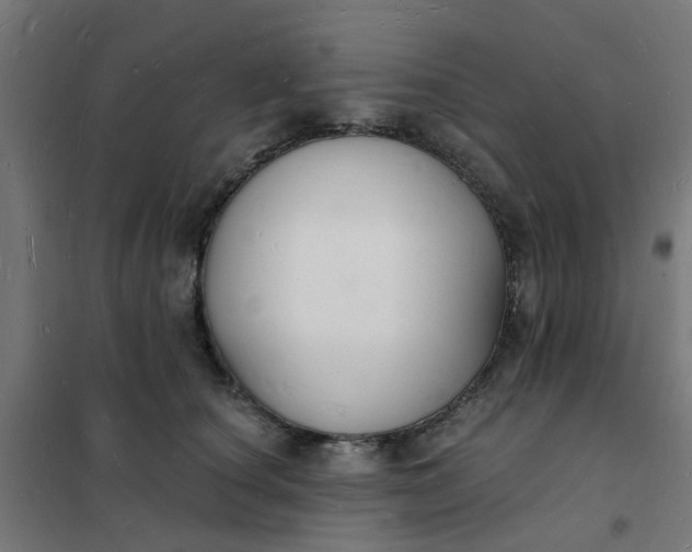 X0000101690660200807241410