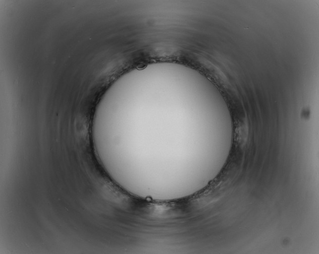 X0000101690662200807241410