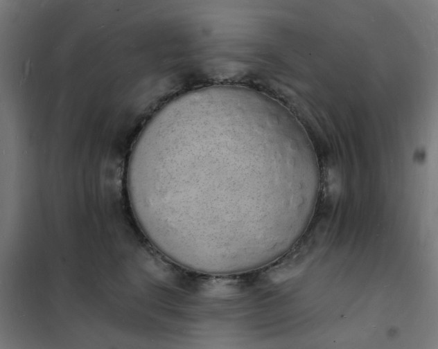 X0000101690664200807241410