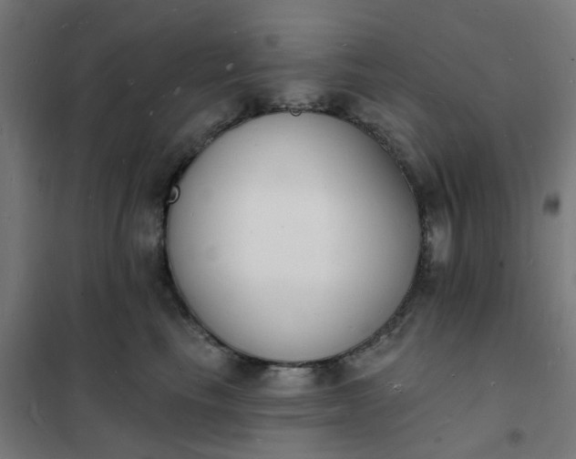 X0000101690665200807241410