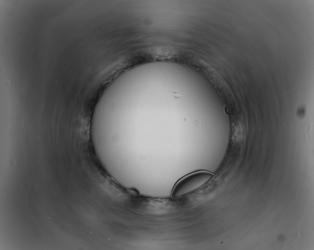 X0000101690666200807241410