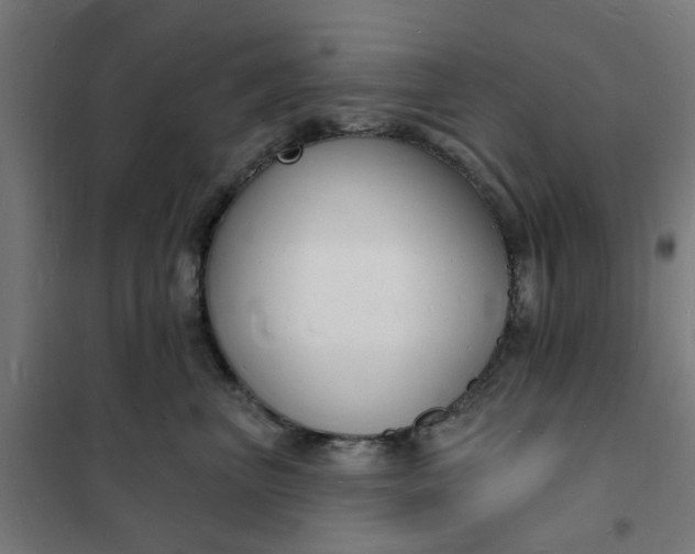 X0000101690667200807241410