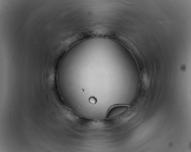 X0000101690668200807241410