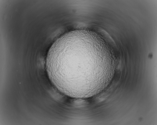 X0000101690669200807241410