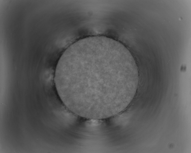 X0000101690672200807241410