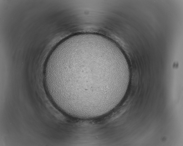 X0000101690673200807241409