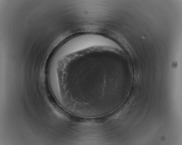 X0000101690674200807241409