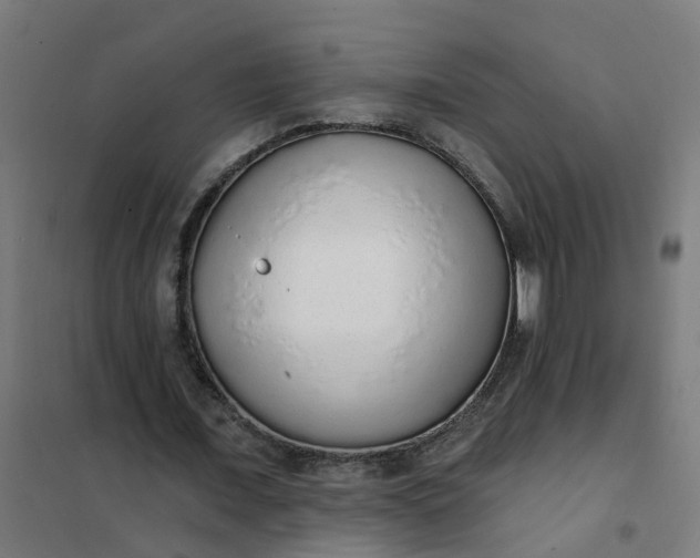 X0000101690675200807241409