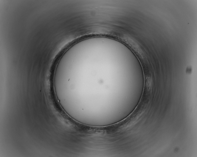 X0000101690676200807241409