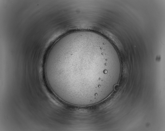 X0000101690677200807241409