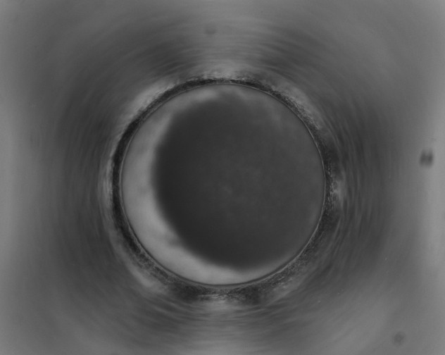 X0000101690678200807241409