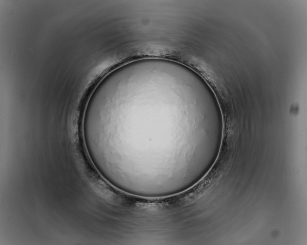 X0000101690679200807241409