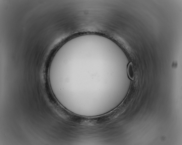 X0000101690680200807241409