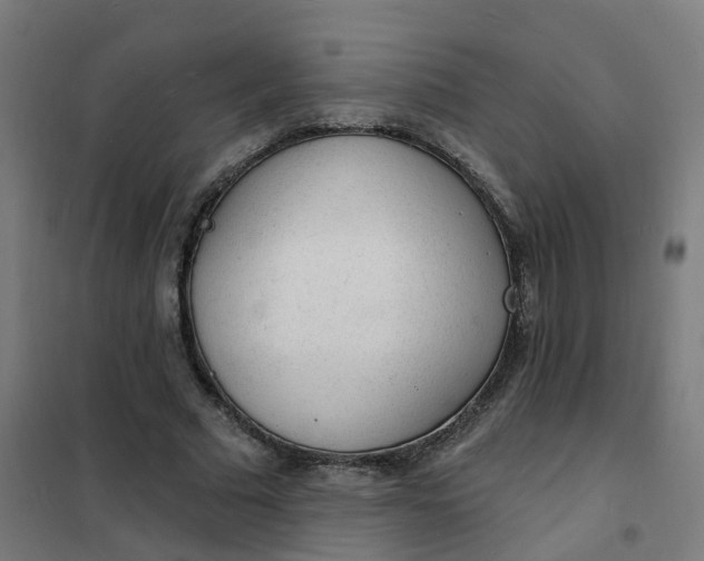 X0000101690681200807241409