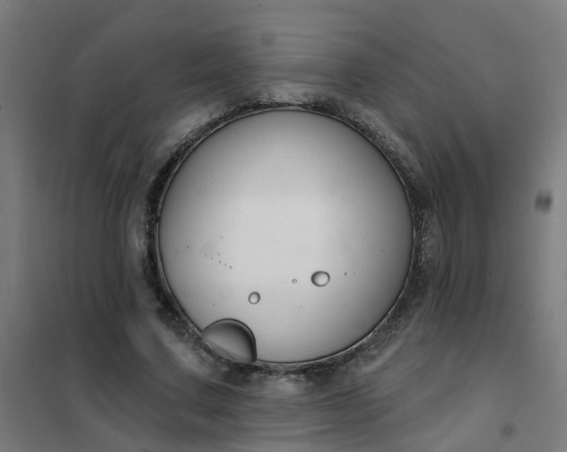 X0000101690683200807241409