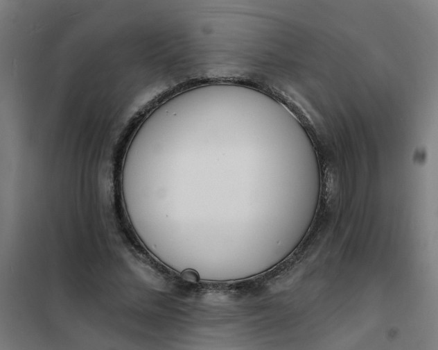 X0000101690684200807241409