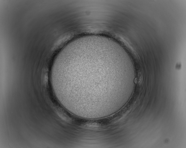 X0000101690685200807241409