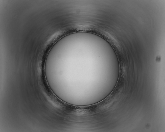 X0000101690686200807241409