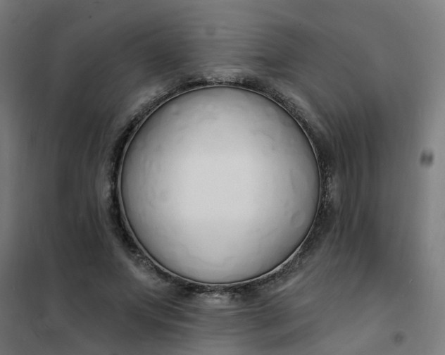 X0000101690687200807241409