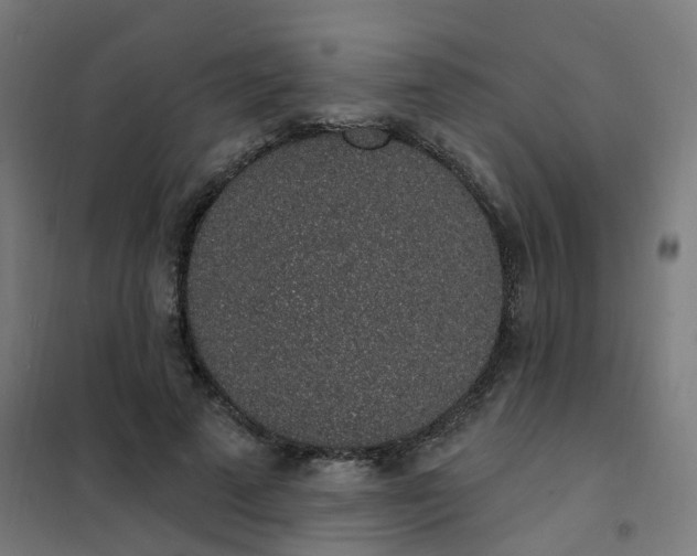 X0000101690689200807241409