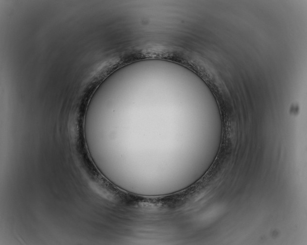 X0000101690690200807241409