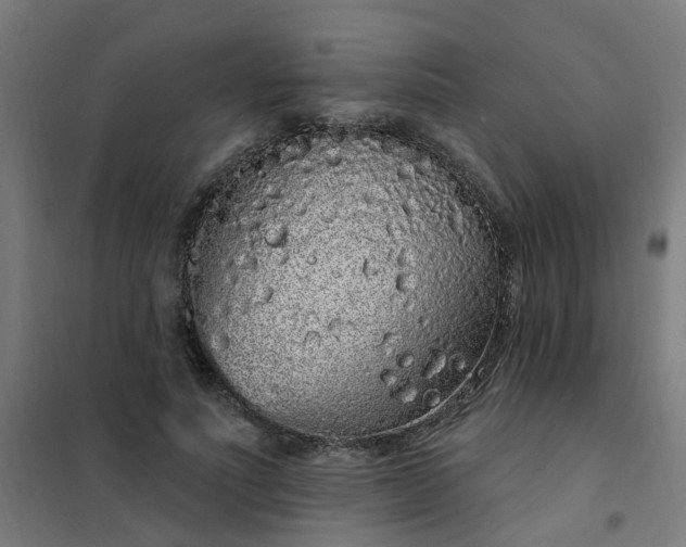 X0000101690691200807241409