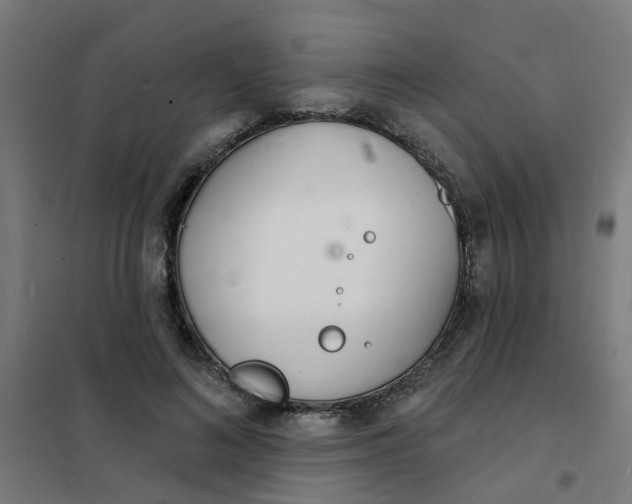 X0000101690692200807241409