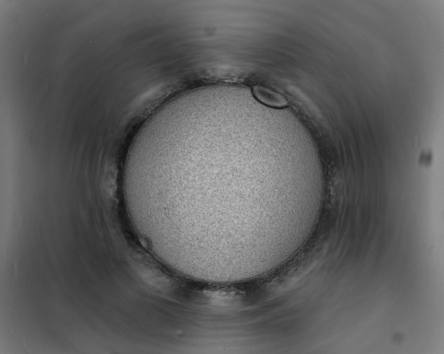 X0000101690693200807241409