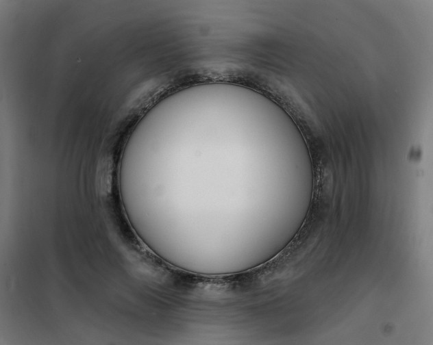 X0000101690694200807241409