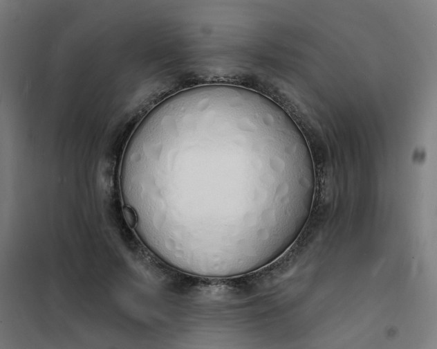 X0000101690695200807241409