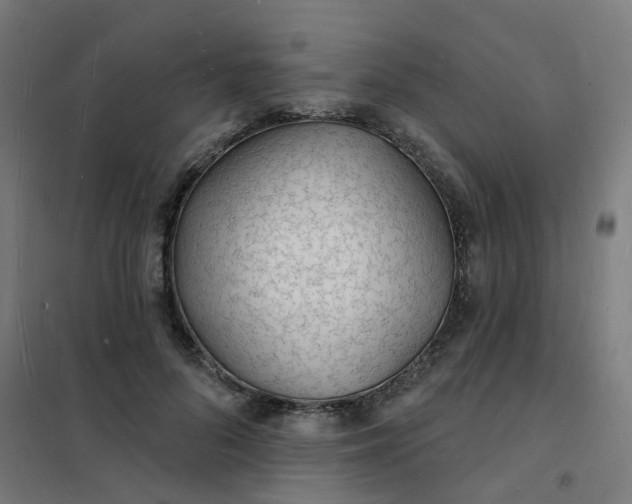 X0000101690696200807241409