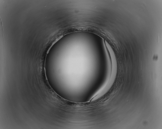 X0000101690697200807241409