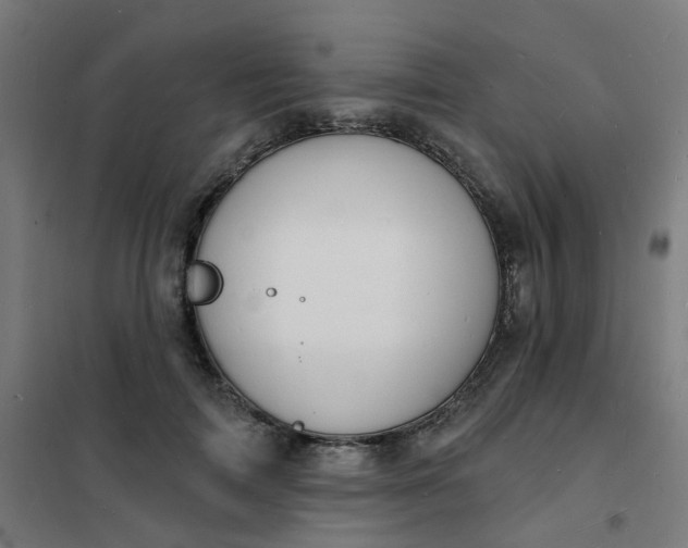 X0000101690698200807241409