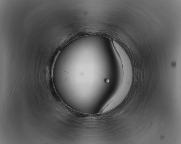 X0000101690700200807241409