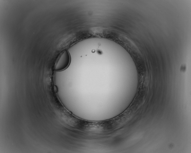 X0000101690702200807241409