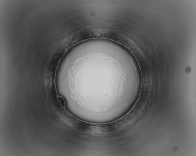 X0000101690703200807241409