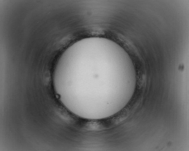 X0000101690704200807241409