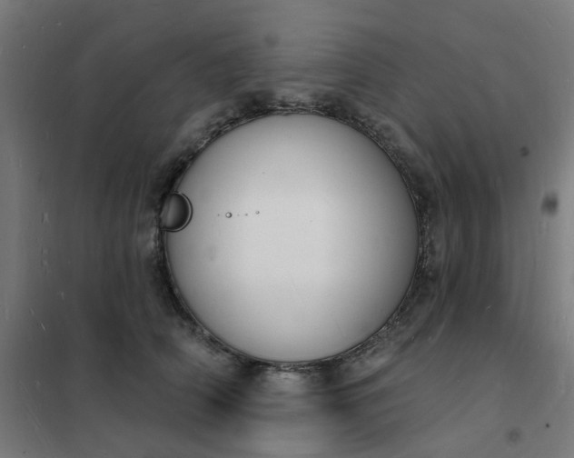 X0000101690706200807241409