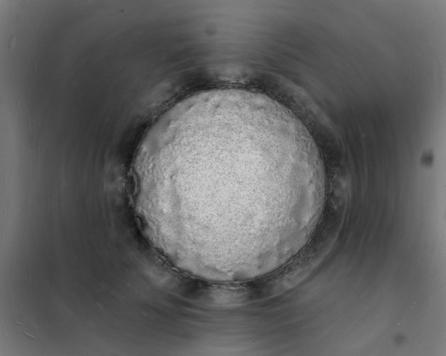 X0000101690707200807241409