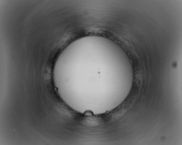 X0000101690708200807241409