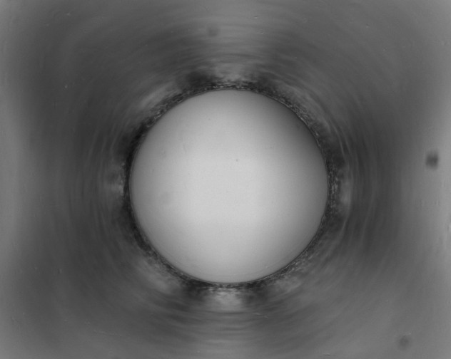 X0000101690710200807241409