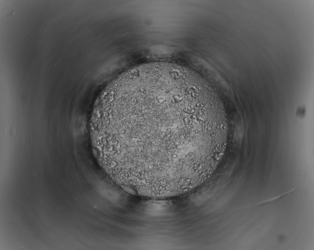 X0000101690711200807241409