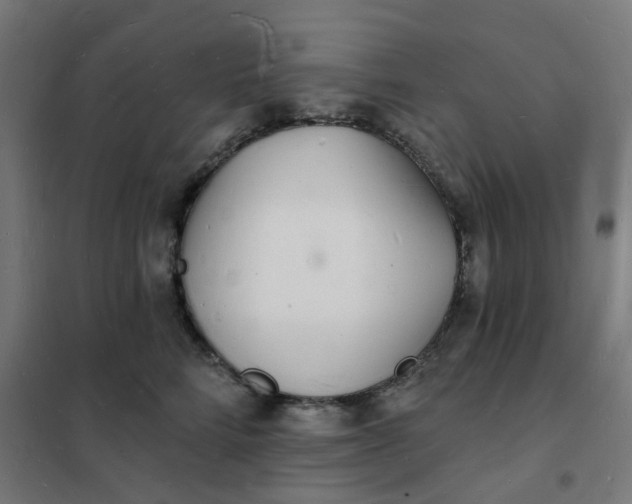 X0000101690712200807241409