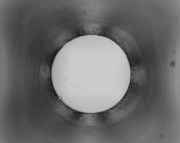 X0000101690713200807241409