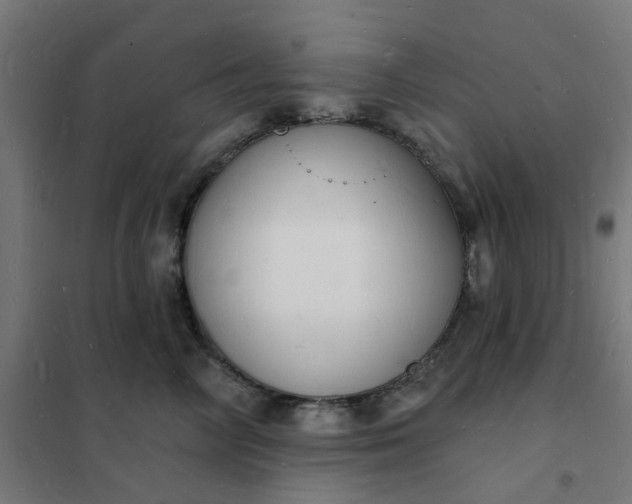 X0000101690714200807241409