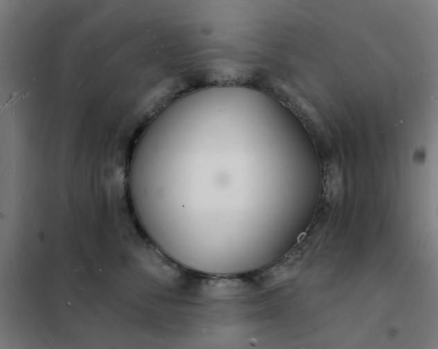 X0000101690716200807241409