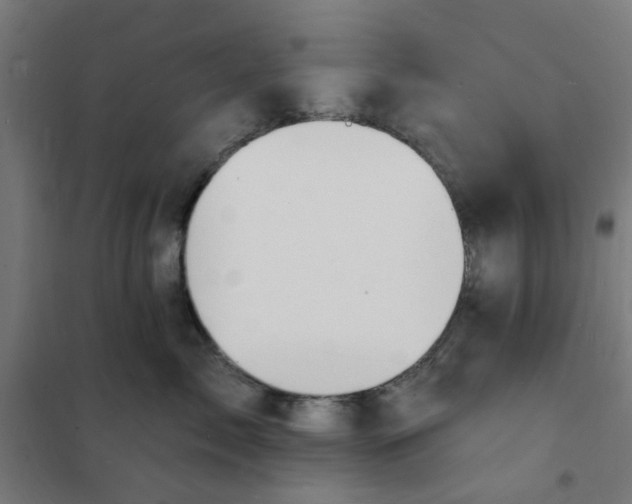 X0000101690717200807241409