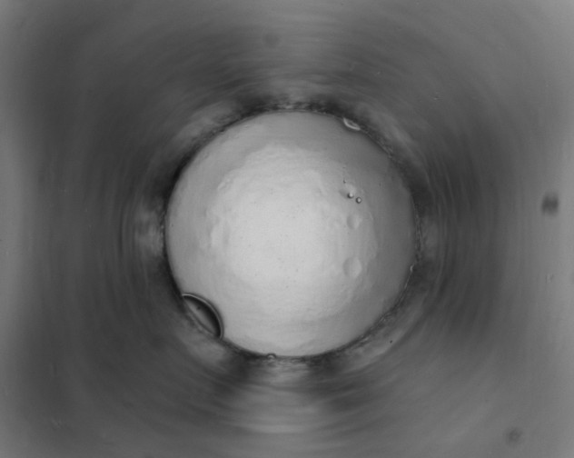 X0000101690719200807241409