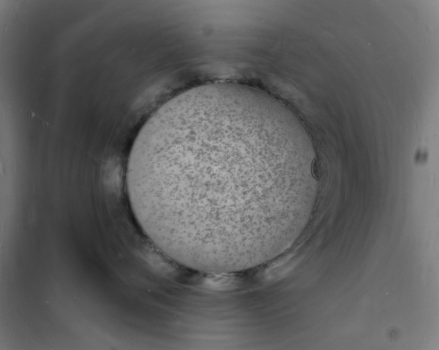 X0000101690720200807241409