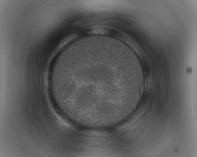 X0000101690722200807241408